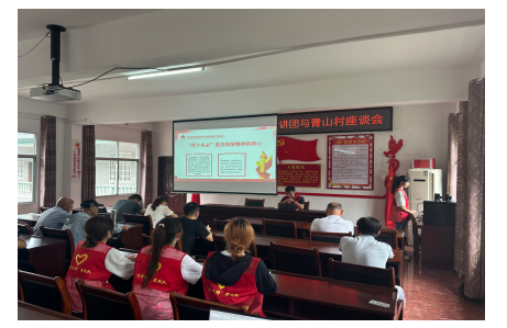 共同缔造策群力，乡村振兴谱新篇｜武汉学院“志管先锋”实践队实践活动纪实